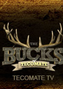 The Bucks of Tecomate small logo