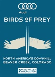 Audi Birds of Prey small logo