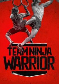 Team Ninja Warrior small logo