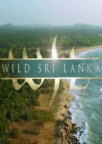 Wild Sri Lanka small logo
