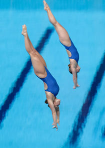 FINA Diving Championships small logo